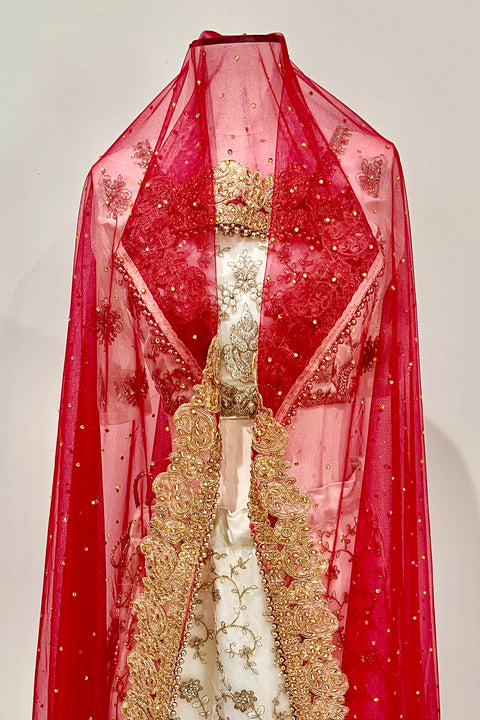 Heavy Bridal Red Net Dupatta with Golden Lace and Embroidery (D64)