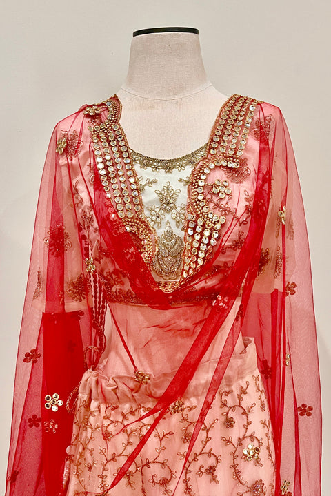 Bridal Red Net Dupatta with Golden Lace and Mirror Work (D63)