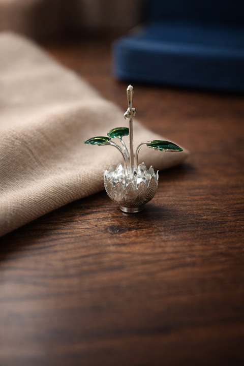 Tulsi Goddess Plant 