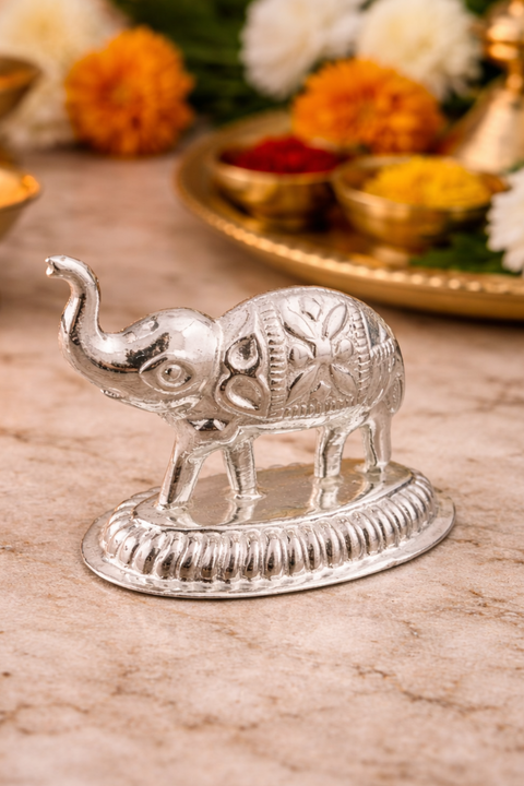  Elephant Silver 
