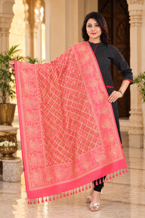 Shawl For Casual