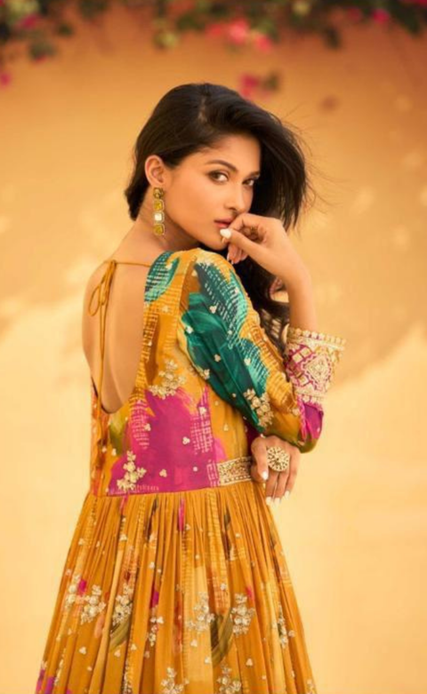 Anarkali Dress