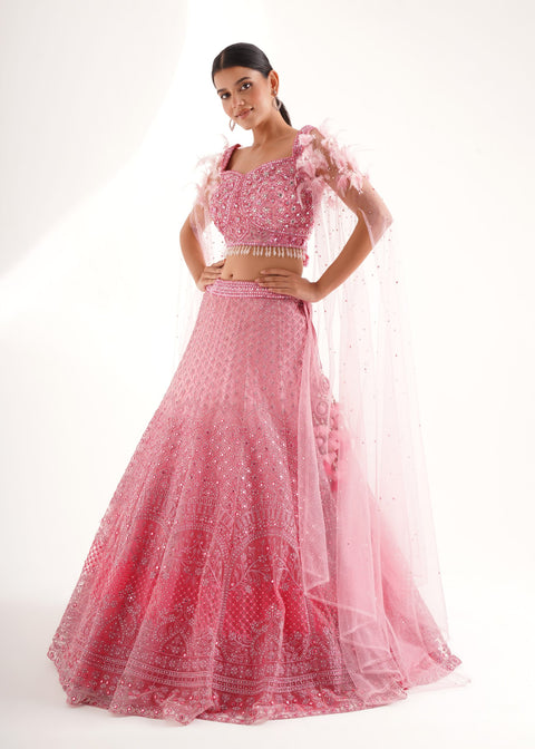 Pink Net Embroidery Sequin Leaf Neck Lehenga And Blouse Set For Women (D289)