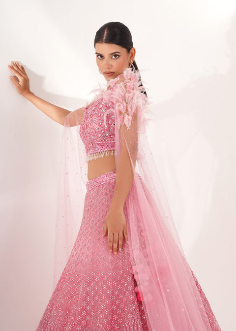 Pink Net Embroidery Sequin Leaf Neck Lehenga And Blouse Set For Women (D289)