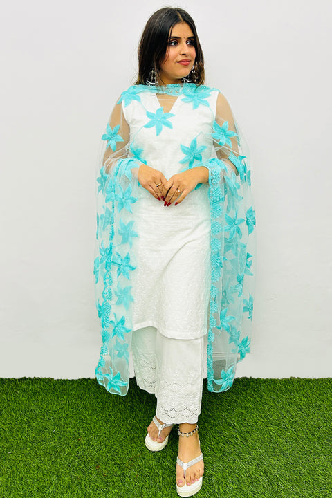 Sky Blue Color Net Embroidery Work Dupatta For Party Wear (D72)