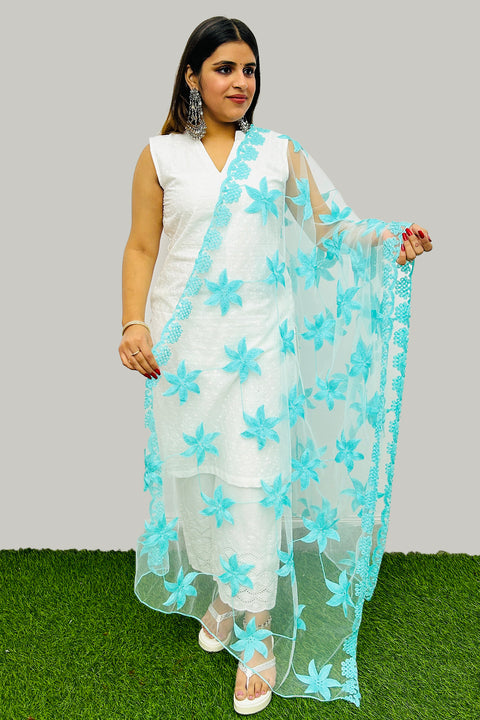 Sky Blue Color Net Embroidery Work Dupatta For Party Wear (D72)