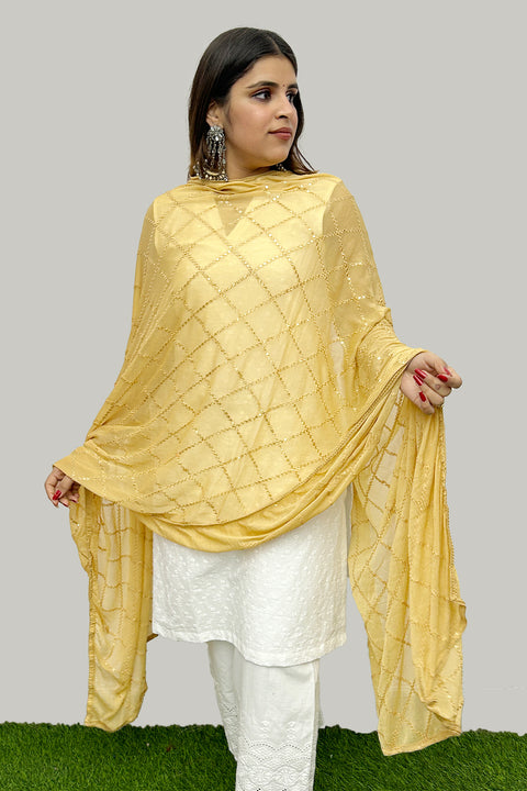 Light Brown Color Women's Embroidered Chiffon Dupatta For Party Wear (D77)