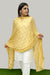 Light Brown Color Women's Embroidered Chiffon Dupatta For Party Wear (D77)