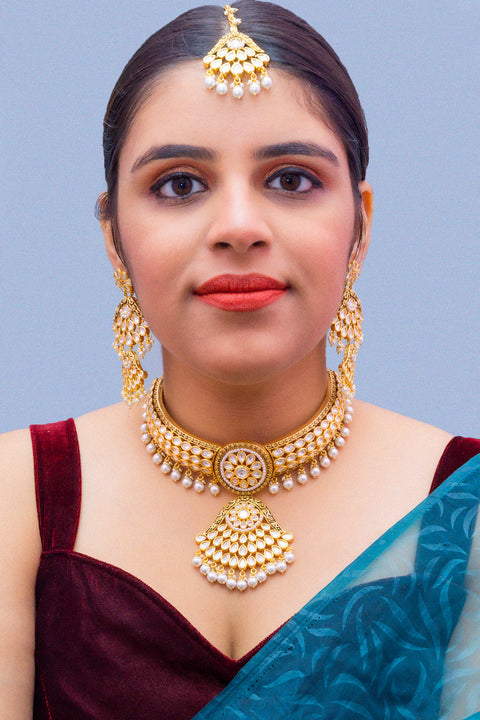 Designer Gold Plated Royal Kundan Choker Style Necklace with Earrings (D887)