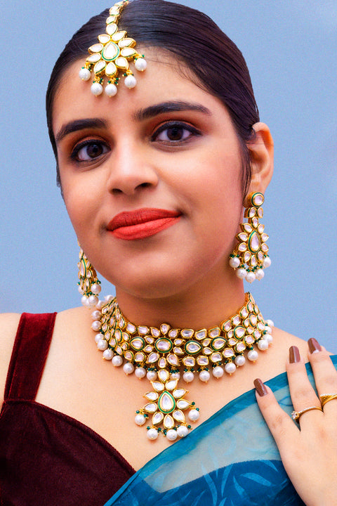 Designer Gold Plated Royal Kundan Choker Style Necklace with Earrings (D878)
