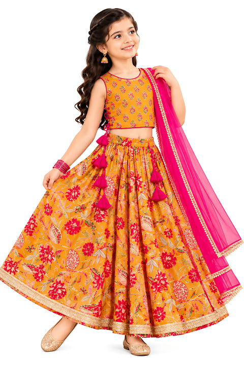 Lehenga Choli Set with Dupatta