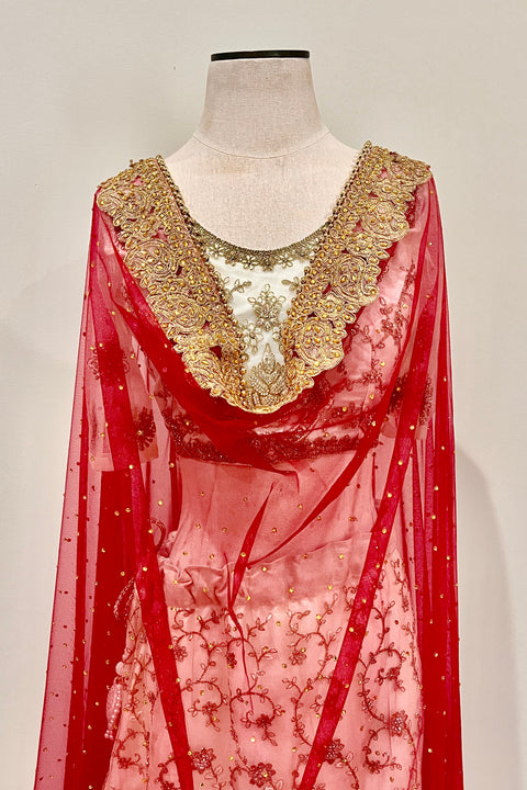 Heavy Bridal Red Net Dupatta with Golden Lace and Embroidery (D64)