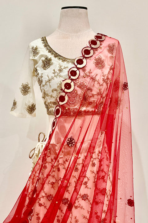 Bridal Red Net Dupatta with Gold and velvet lace (D58)