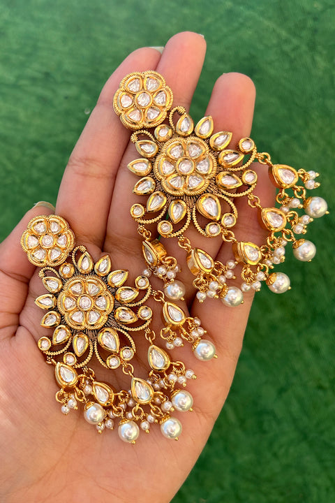 Gold Plated Beautifully Royal Kundan Beaded Earrings (E819)