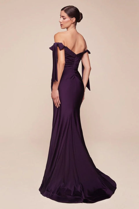 Long Prom & Bridesmaid Dress