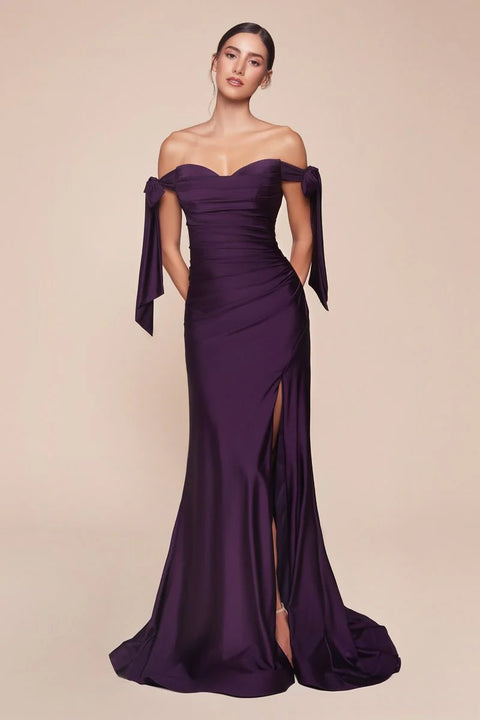 Long Prom & Bridesmaid Dress
