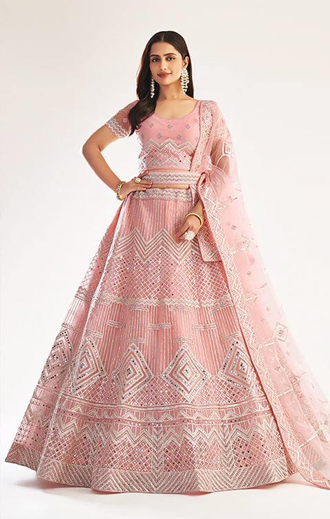 Designer Heritage Premium Baby Pink Heavy Embroidered Net Bridal Lehenga Choli (D66)
