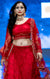 Designer Bridal Heritage Red Heavy Embroidered Net Bridal Lehenga Choli (D164)