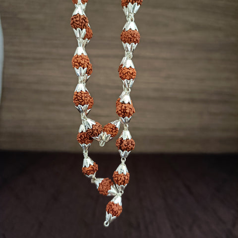 Brown Rudraksh Mala With Pure Silver Caps (D2)