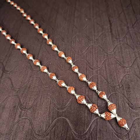 Brown Rudraksh Mala With Pure Silver Caps (D2)