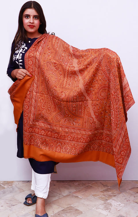 Fashionable Women's Brown Shawl With Embroidery Work For Casual, Party Wear (D19)